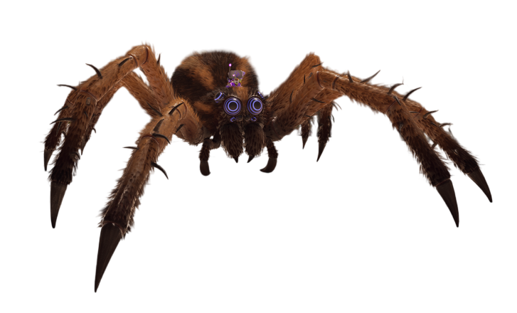 O.R.C. Wolf Spider